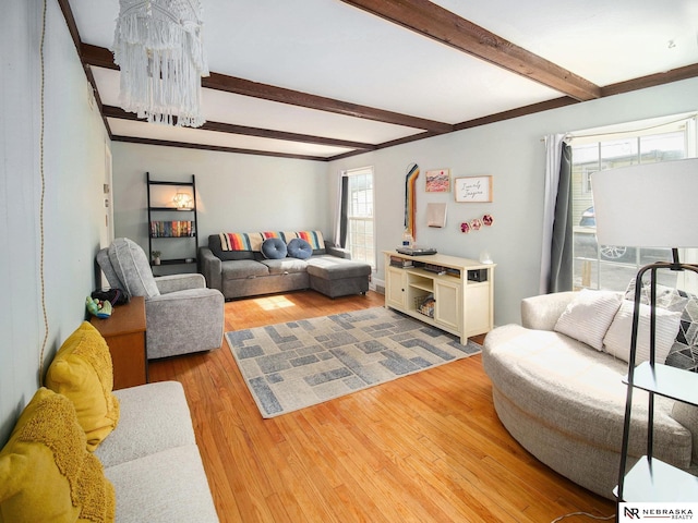 living room featuring beam ceiling and light wood-style floors