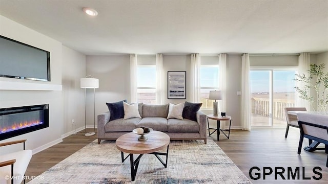 living room featuring baseboards, wood finished floors, and a glass covered fireplace