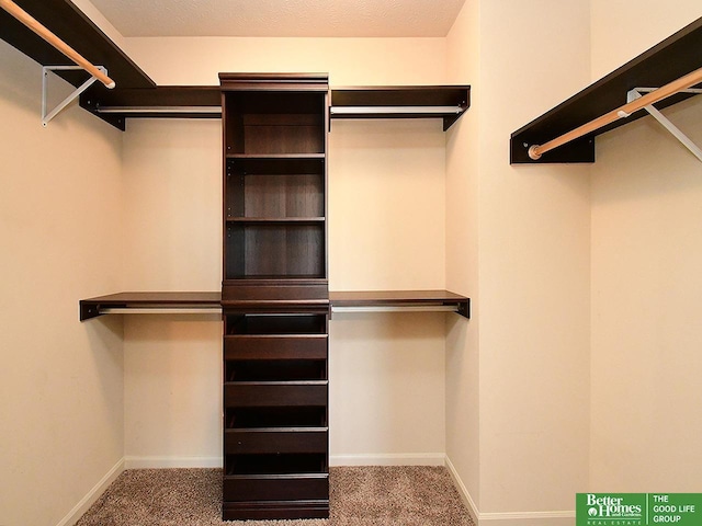 walk in closet featuring carpet flooring