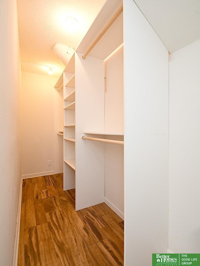 walk in closet featuring wood finished floors