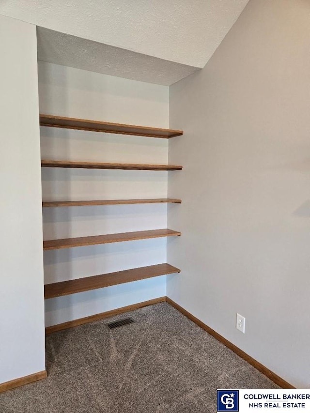 closet with visible vents