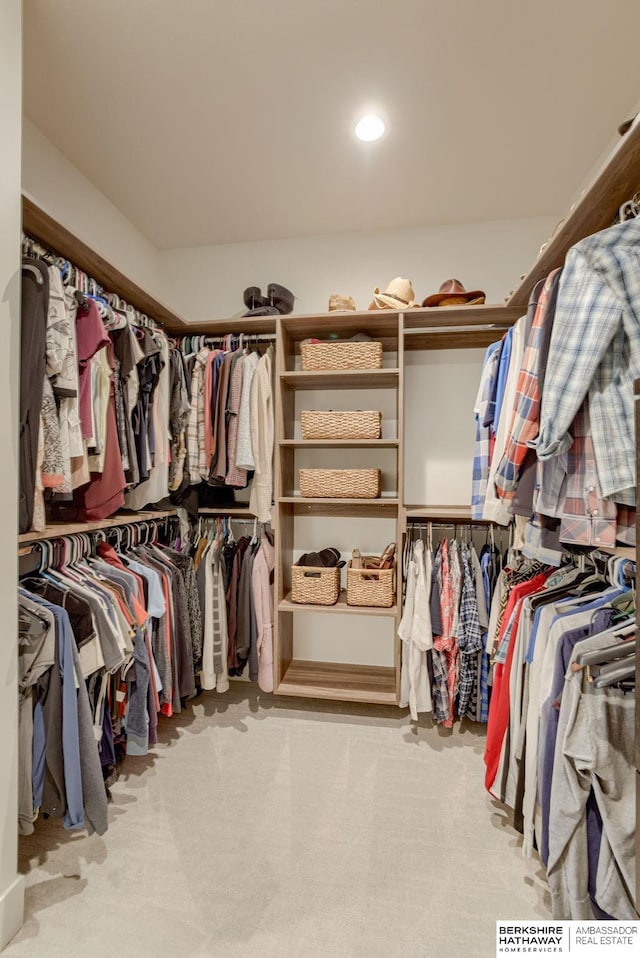 spacious closet featuring carpet flooring