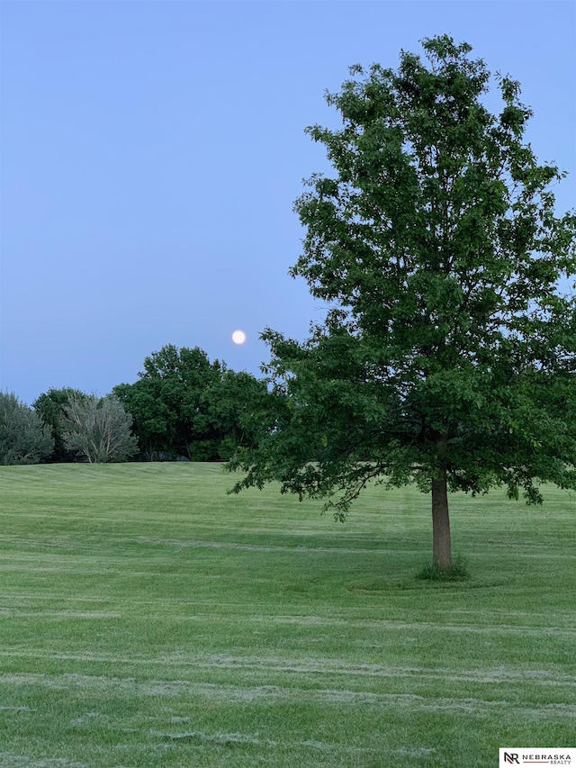 view of property's community with a yard