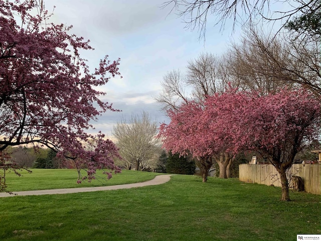 view of property's community featuring a lawn and fence