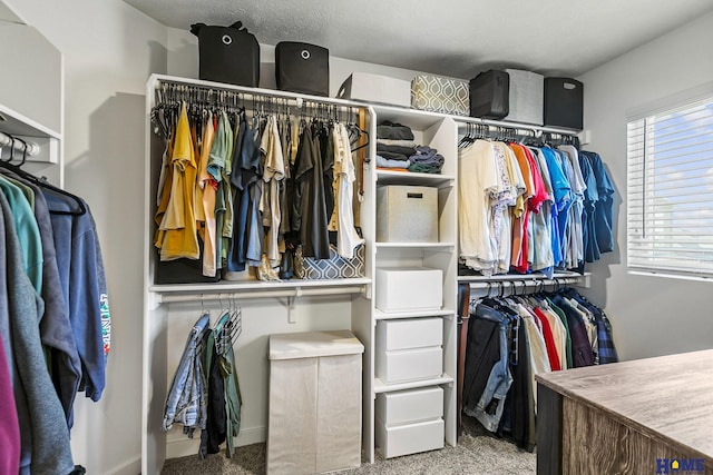 spacious closet with carpet