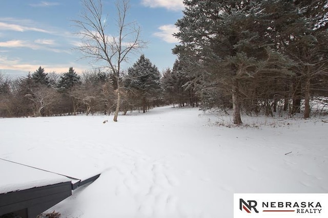 view of yard covered in snow