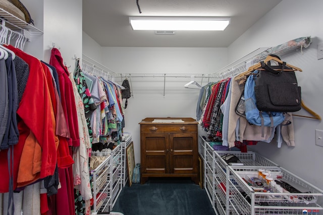 spacious closet with visible vents