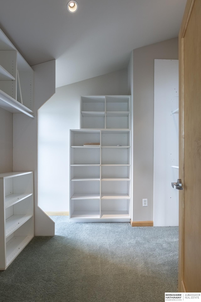 walk in closet featuring carpet and vaulted ceiling