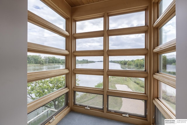 details featuring carpet floors and a water view