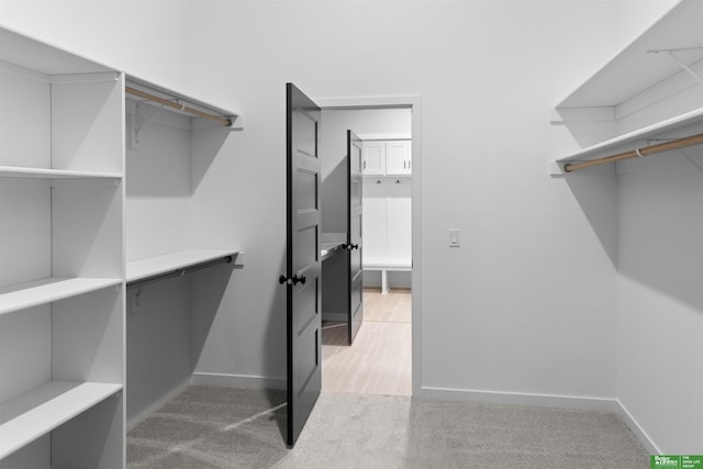 walk in closet with light colored carpet