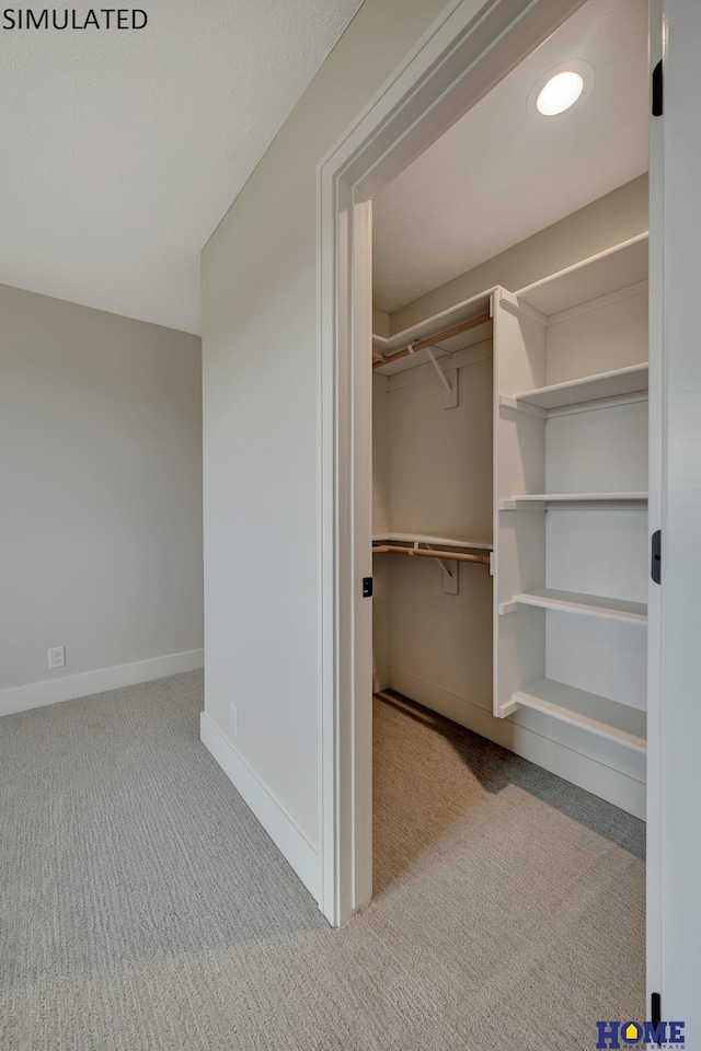 spacious closet featuring carpet flooring