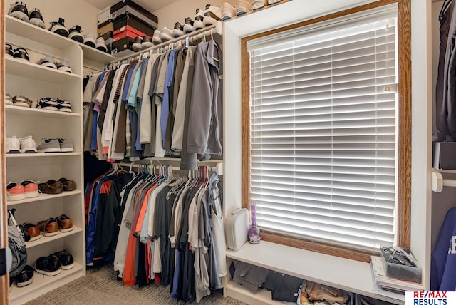 spacious closet with carpet