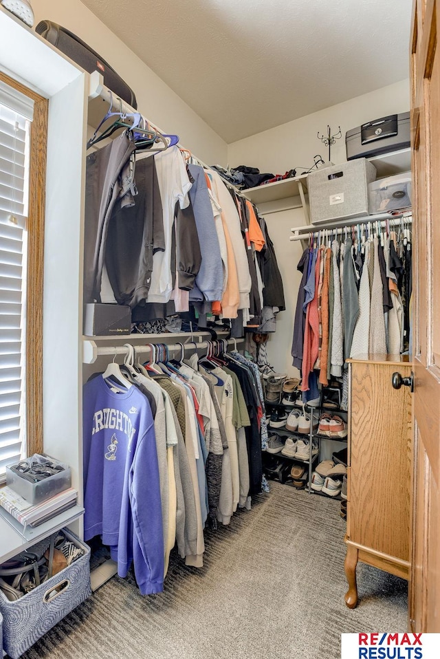 spacious closet with carpet floors