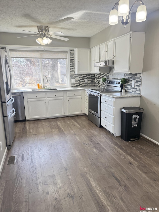 kitchen featuring a sink, decorative backsplash, under cabinet range hood, and stainless steel appliances