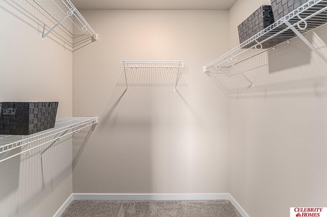 spacious closet with carpet