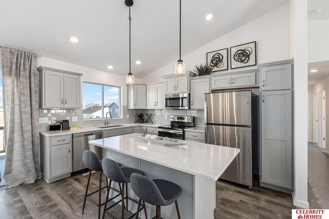 8238 N 175th St, Bennington, NE 68007 - kitchen featuring dark wood finished floors, gray cabinets, stainless steel appliances, and a sink