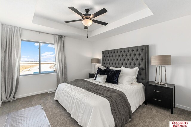 8238 N 175th St, Bennington, NE 68007 - bedroom with baseboards, a raised ceiling, carpet floors, and ceiling fan