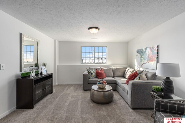 8238 N 175th St, Bennington, NE 68007 - carpeted living area featuring a wealth of natural light, a textured ceiling, and baseboards