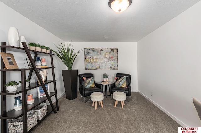 8238 N 175th St, Bennington, NE 68007 - sitting room featuring visible vents, baseboards, carpet, and a textured ceiling