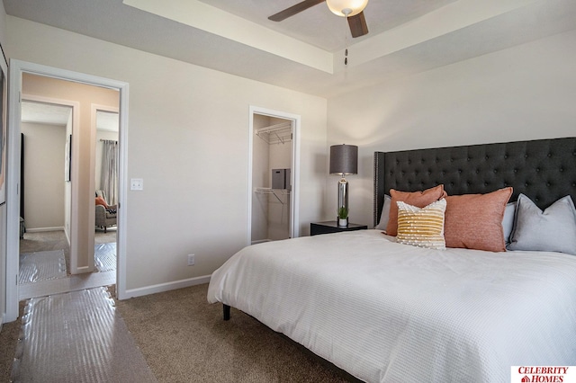 bedroom featuring a walk in closet, baseboards, a tray ceiling, carpet floors, and a ceiling fan