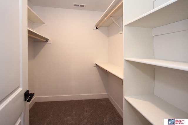 walk in closet with carpet and visible vents