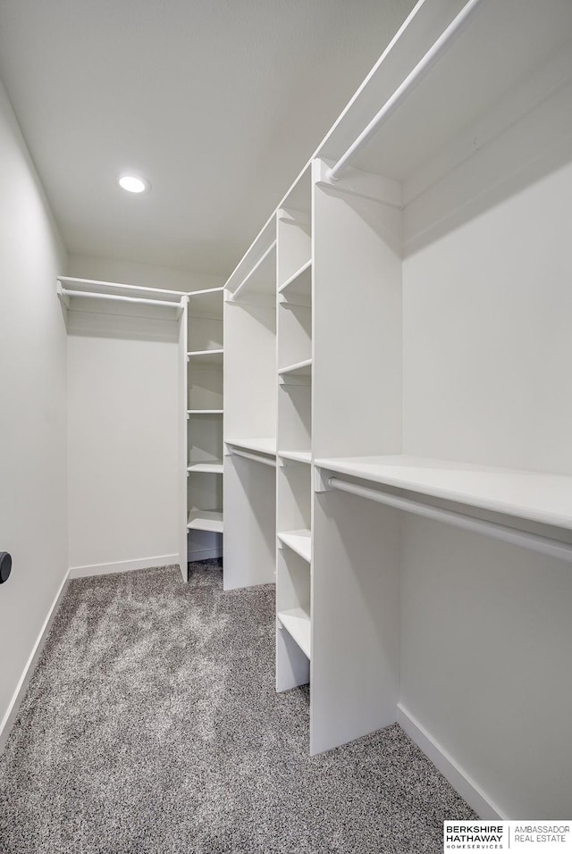 spacious closet featuring carpet floors