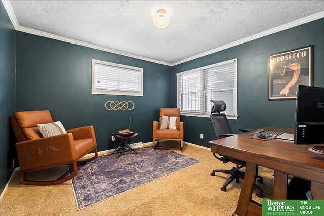 office area with carpet flooring, a textured ceiling, crown molding, and baseboards