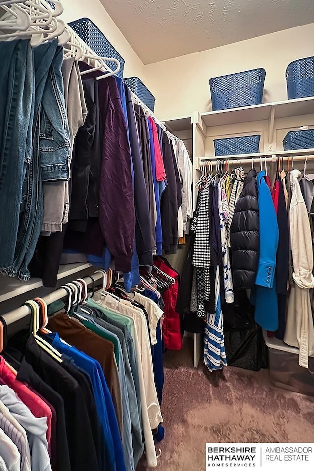 spacious closet featuring carpet