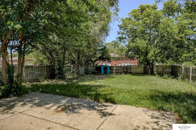 view of yard featuring a patio and a fenced backyard