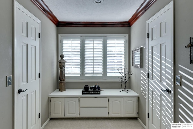 interior space featuring baseboards, a textured ceiling, and crown molding