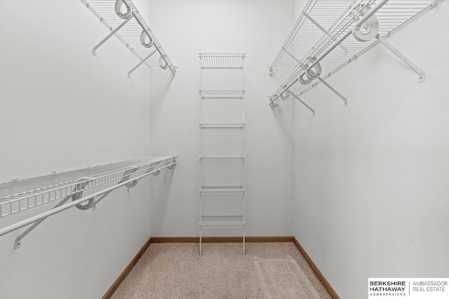 walk in closet featuring light colored carpet