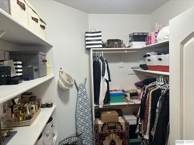 view of walk in closet