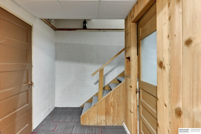 below grade area with stairs and concrete block wall