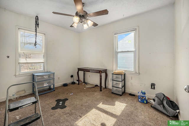 miscellaneous room featuring carpet, baseboards, and a textured ceiling