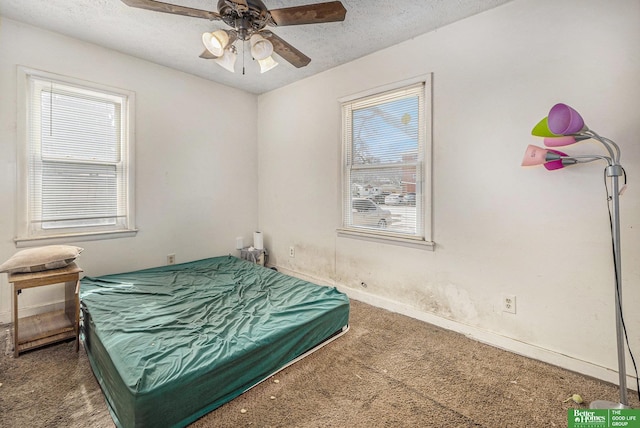 bedroom featuring multiple windows, a textured ceiling, and carpet