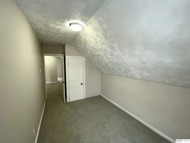 additional living space featuring baseboards, carpet floors, a textured ceiling, and lofted ceiling