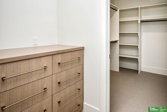 walk in closet with carpet floors