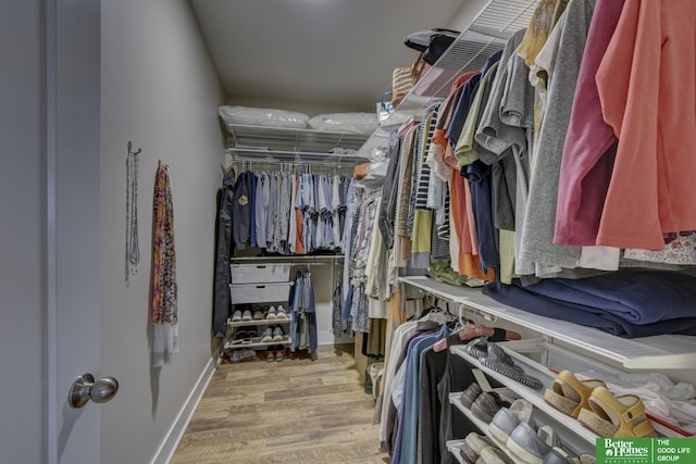 walk in closet featuring wood finished floors