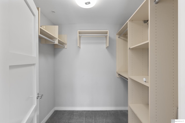 walk in closet featuring dark colored carpet