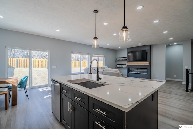 kitchen with a sink, open floor plan, light wood-type flooring, a glass covered fireplace, and stainless steel dishwasher