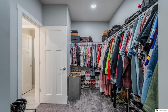 view of spacious closet