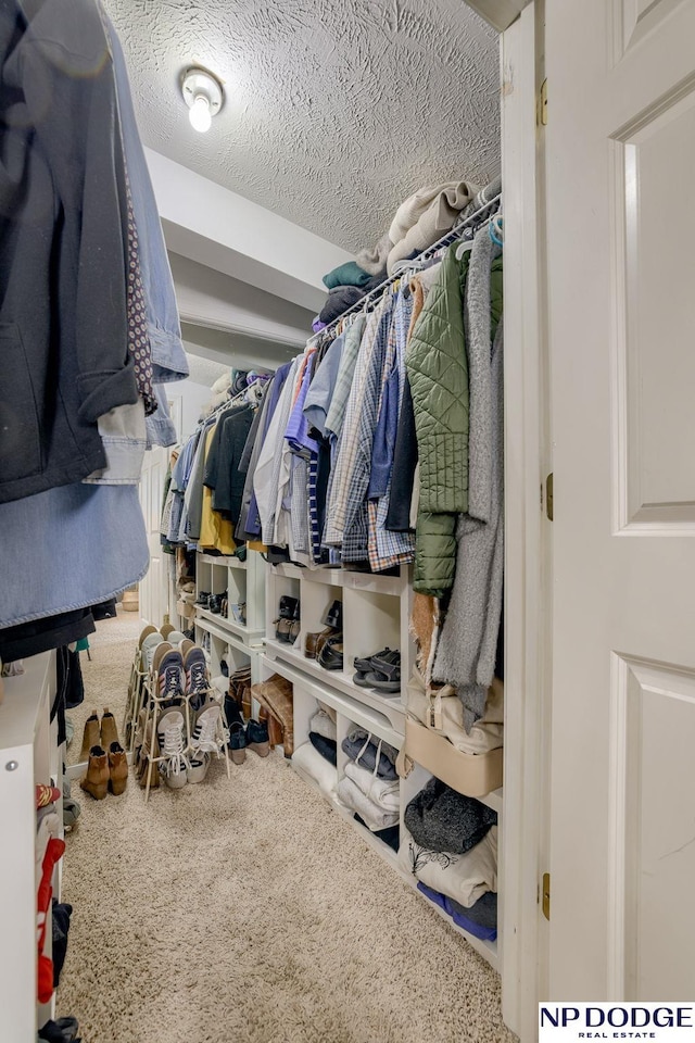 view of walk in closet