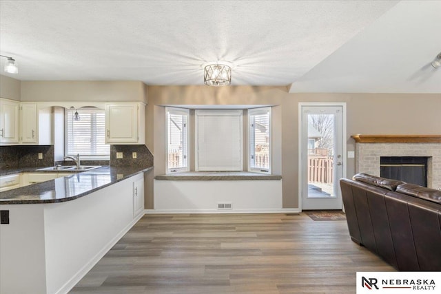 kitchen featuring visible vents, wood finished floors, decorative backsplash, and a sink