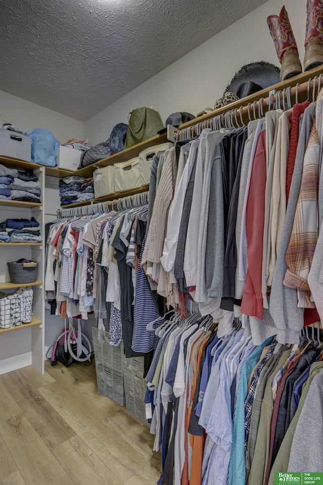 spacious closet featuring wood finished floors