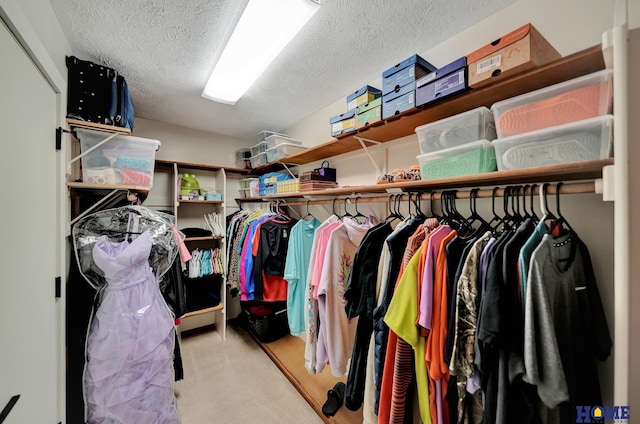 walk in closet with carpet flooring