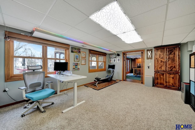 carpeted office with a paneled ceiling and baseboards