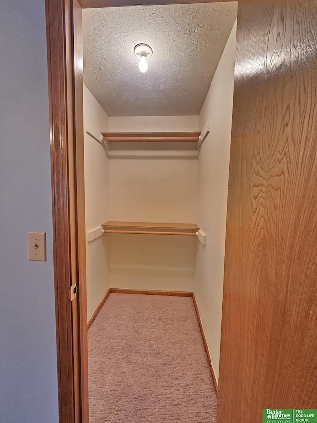 walk in closet featuring carpet flooring