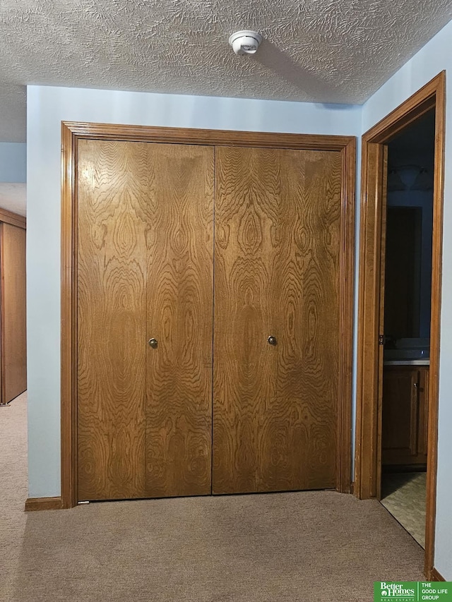 room details featuring carpet floors and a textured ceiling