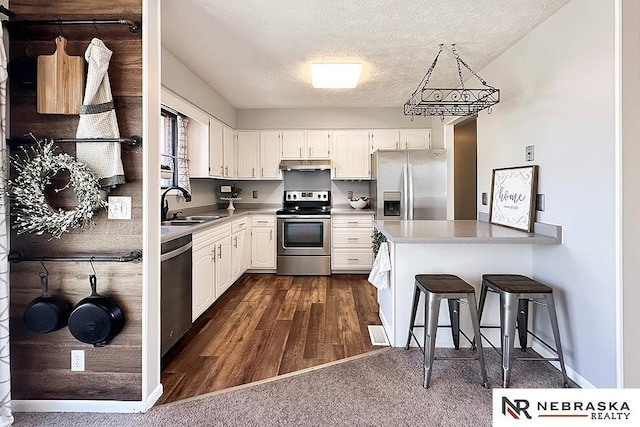 kitchen with a sink, under cabinet range hood, a textured ceiling, appliances with stainless steel finishes, and a peninsula