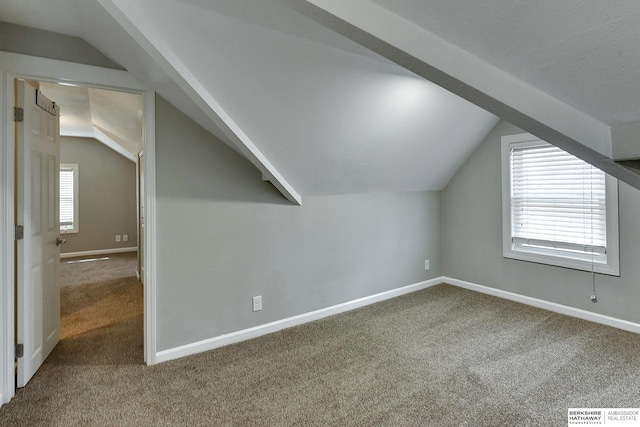 additional living space with baseboards, carpet floors, and a healthy amount of sunlight